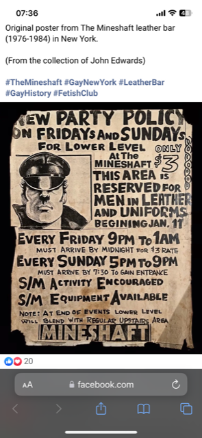 Mineshaft Party Policy